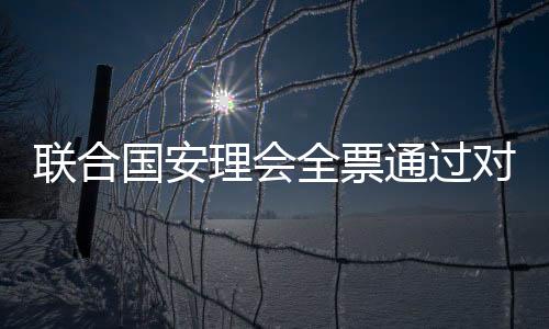 聯合國安理會全票通過對朝制裁決議