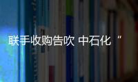 聯(lián)手收購告吹 中石化“甩”新奧“牽”中燃