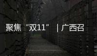 聚焦“雙11”｜廣西召開“雙11”指導會 要求電商排查下架禁限售商品