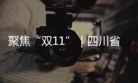 聚焦“雙11”｜四川省市場監(jiān)管局強化“雙11”網(wǎng)絡集中促銷監(jiān)管