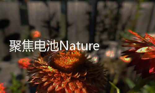 聚焦電池Nature materials：固態(tài)電池中硅陽極的化學機械失效機制 – 材料牛