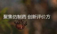 聚焦仿制藥 創新評價方法