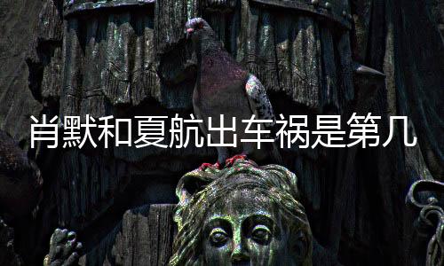 肖默和夏航出車禍是第幾集