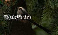 肅(sù)然(rán)起(qǐ)敬(jìng)究竟什么原因?