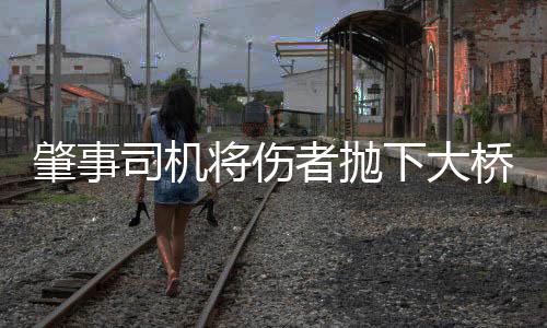 肇事司機將傷者拋下大橋致死