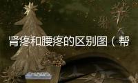 腎疼和腰疼的區別圖（幫你分清疼痛的來源）