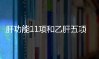 肝功能11項和乙肝五項區別是什么