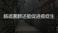 腸道菌群還能促進癌癥生長？今日《科學》發現全新聯系