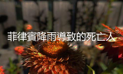 菲律賓降雨導(dǎo)致的死亡人數(shù)上升至44人