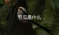 節(jié)瓜是什么