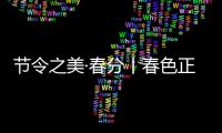 節(jié)令之美·春分丨春色正中分，莫負好時光