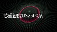 芯盛智能DS2500系列助力安防行業創新升級