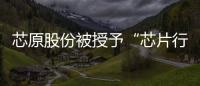 芯原股份被授予“芯片行業最佳雇主”獎