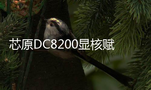 芯原DC8200顯核賦能賽昉JH