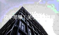 花牛蘋果（關于花牛蘋果的基本情況說明介紹）