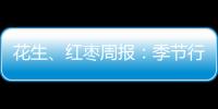 花生、紅棗周報：季節(jié)行情明顯