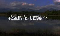 花籃的花兒香第22