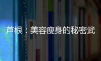 蘆根：美容瘦身的秘密武器