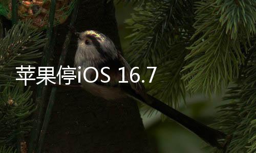 蘋果停iOS 16.7.6驗證，僅支持16.7.7版本驗證