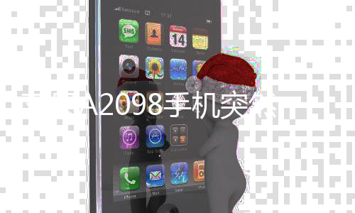 蘋果A2098手機突然黑屏打不開怎么辦