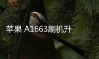 蘋果 A1663刷機(jī)升級IOS 17.1.1教程，ios升級修復(fù)教程