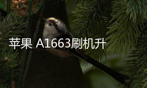 蘋果 A1663刷機升級IOS 17.1.1教程，ios升級修復教程