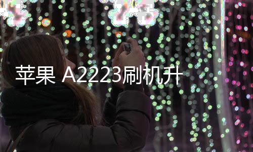 蘋果 A2223刷機升級IOS 17.1.1教程，ios升級修復教程