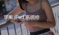 蘋果 iPad 系統修復方法