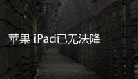 蘋果 iPad已無法降級iOS 16.5.1