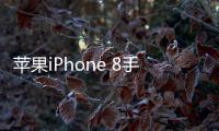 蘋果iPhone 8手機一直重啟怎么辦?手機忘記密碼怎么一鍵刷機？