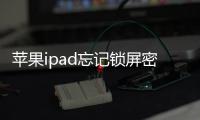 蘋果ipad忘記鎖屏密碼怎么辦？iOS修復大師快速解鎖教程