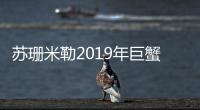 蘇珊米勒2019年巨蟹座運(yùn)勢完整版 巨蟹座2019年全年運(yùn)勢