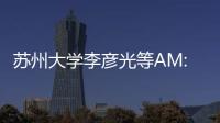 蘇州大學李彥光等AM: Ir1