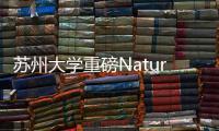 蘇州大學重磅Nature，微核電池！ – 材料牛