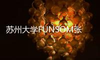 蘇州大學FUNSOM張橋課題組： Co