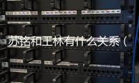 蘇銘和王林有什么關系（蘇銘和王林）