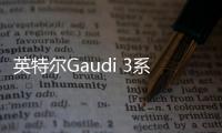 英特爾Gaudi 3系列AI加速器明年上市