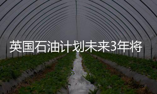 英國石油計劃未來3年將稅前利潤提高30億美元