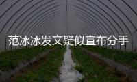 范冰冰發文疑似宣布分手：我們不再是我們