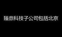 臻鼎科技子公司包括北京臻鼎科技旗下軟件公司的具體內容