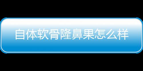 自體軟骨隆鼻果怎么樣