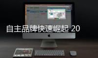 自主品牌快速崛起 2017年都有啥策略