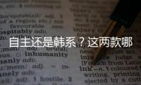 自主還是韓系？這兩款哪輛更值得選擇