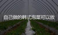 自己做的韓式泡菜可以放多久