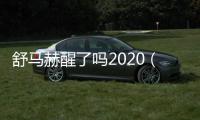 舒馬赫醒了嗎2020（舒馬赫醒了嗎）