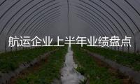 航運企業上半年業績盤點:特立獨行者贏!