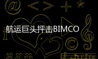 航運巨頭抨擊BIMCO的CII合同條款