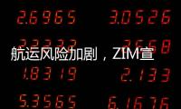 航運風險加劇，ZIM宣布部分船只改道