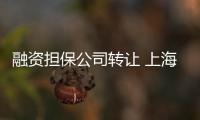 融資擔保公司轉讓 上海融資擔保轉讓的政策