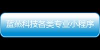 藍燕科技各類專業小程序開發